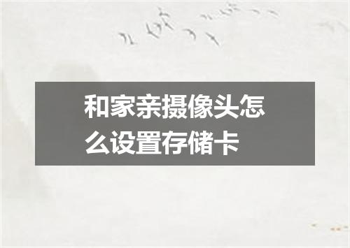 和家亲摄像头怎么设置存储卡