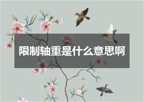 限制轴重是什么意思啊
