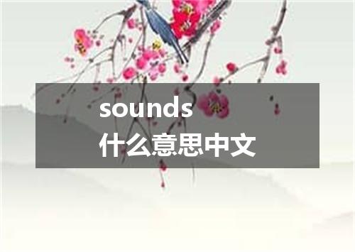 sounds什么意思中文