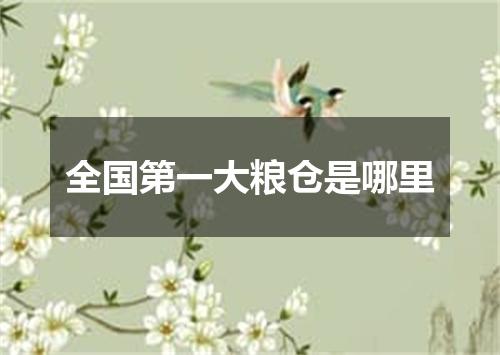 全国第一大粮仓是哪里