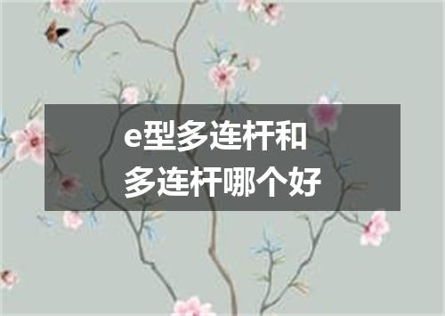e型多连杆和多连杆哪个好