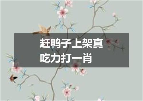 赶鸭子上架真吃力打一肖