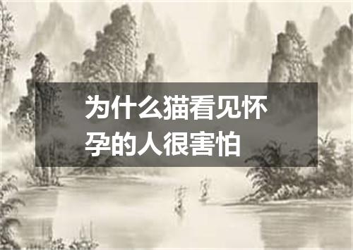 为什么猫看见怀孕的人很害怕