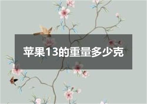 苹果13的重量多少克