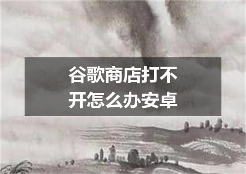 谷歌商店打不开怎么办安卓