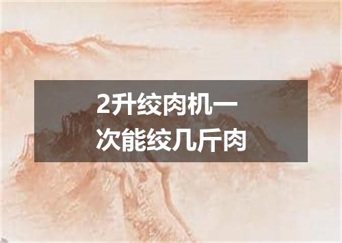 2升绞肉机一次能绞几斤肉