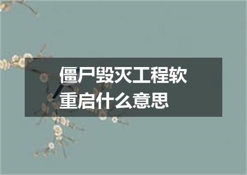 僵尸毁灭工程软重启什么意思