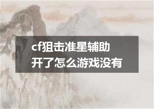 cf狙击准星辅助开了怎么游戏没有