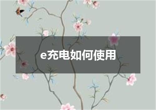 e充电如何使用