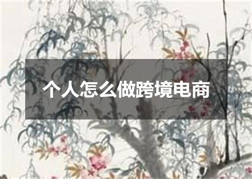 个人怎么做跨境电商