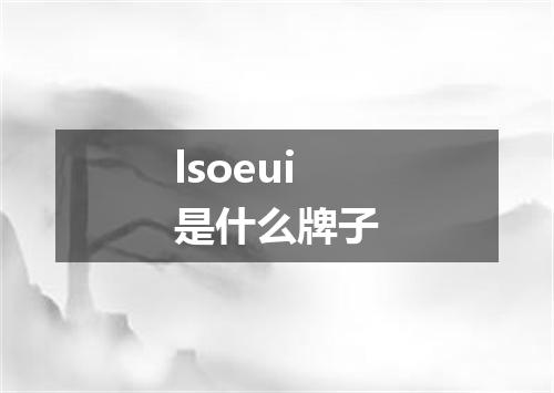 lsoeui是什么牌子