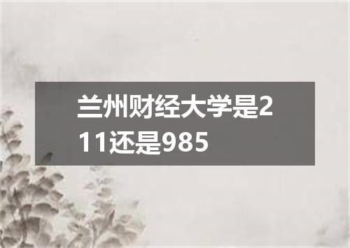 兰州财经大学是211还是985