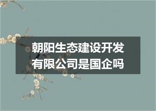 朝阳生态建设开发有限公司是国企吗