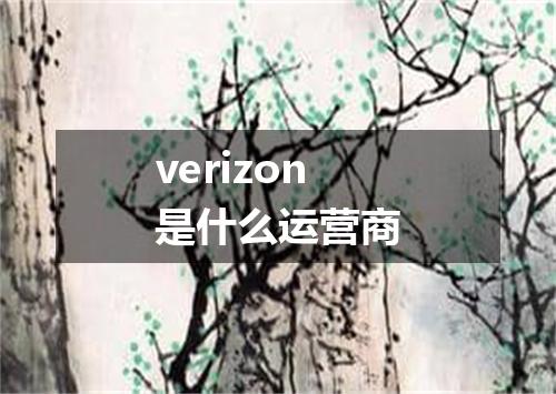 verizon是什么运营商