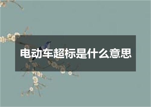 电动车超标是什么意思