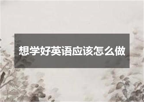 想学好英语应该怎么做