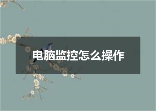 电脑监控怎么操作