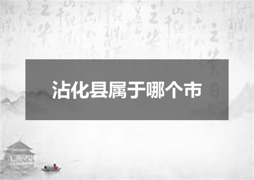 沾化县属于哪个市