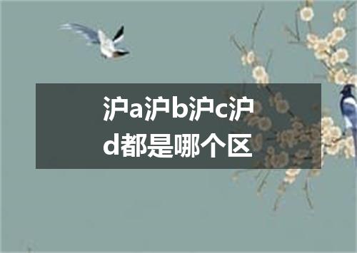 沪a沪b沪c沪d都是哪个区
