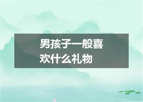 男孩子一般喜欢什么礼物