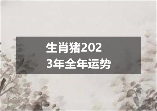 生肖猪2023年全年运势