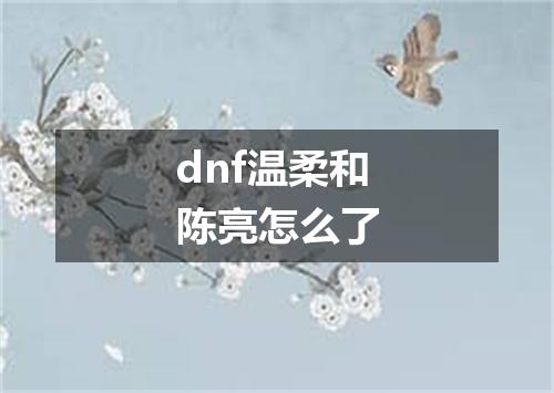 dnf温柔和陈亮怎么了
