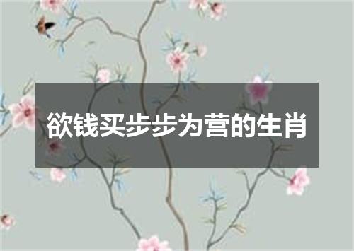 欲钱买步步为营的生肖