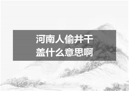 河南人偷井干盖什么意思啊