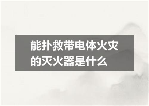 能扑救带电体火灾的灭火器是什么