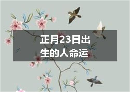 正月23日出生的人命运
