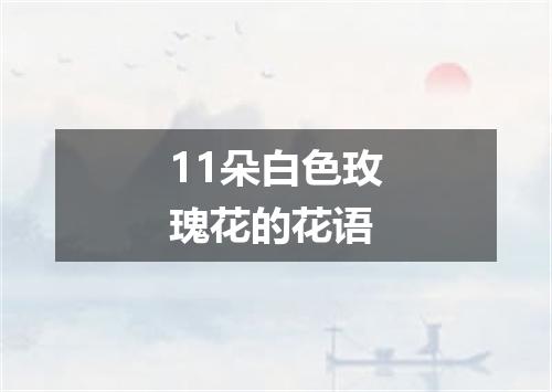 11朵白色玫瑰花的花语