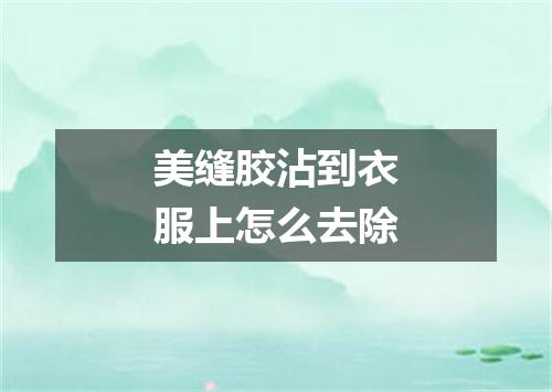 美缝胶沾到衣服上怎么去除