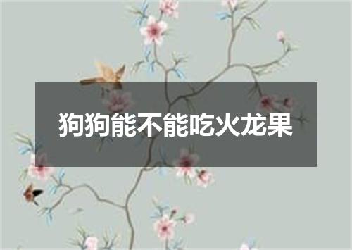 狗狗能不能吃火龙果