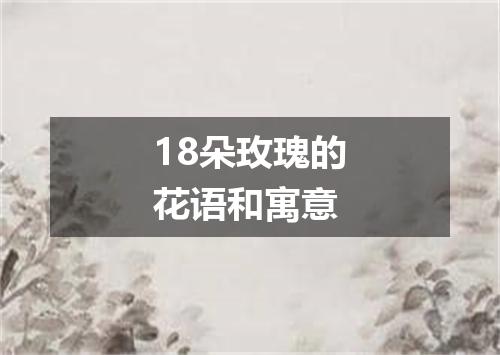 18朵玫瑰的花语和寓意