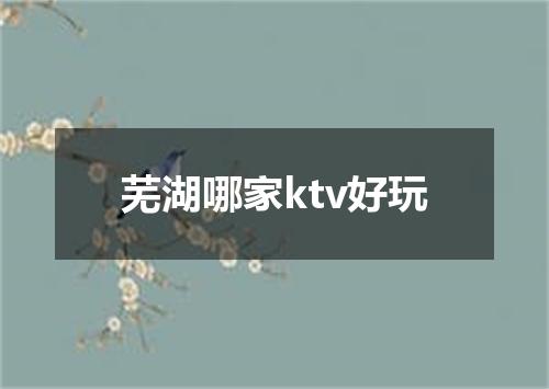 芜湖哪家ktv好玩