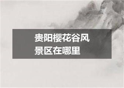 贵阳樱花谷风景区在哪里