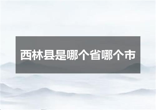西林县是哪个省哪个市