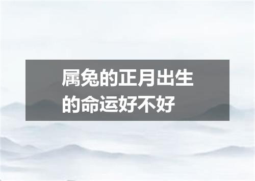 属兔的正月出生的命运好不好