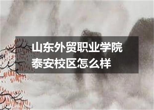 山东外贸职业学院泰安校区怎么样