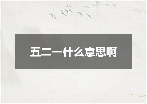 五二一什么意思啊