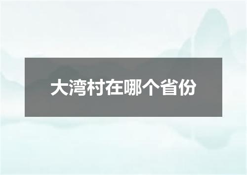 大湾村在哪个省份