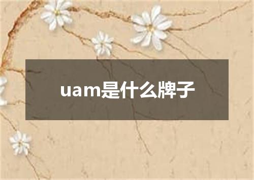 uam是什么牌子