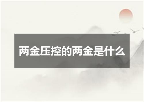两金压控的两金是什么