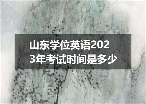 山东学位英语2023年考试时间是多少