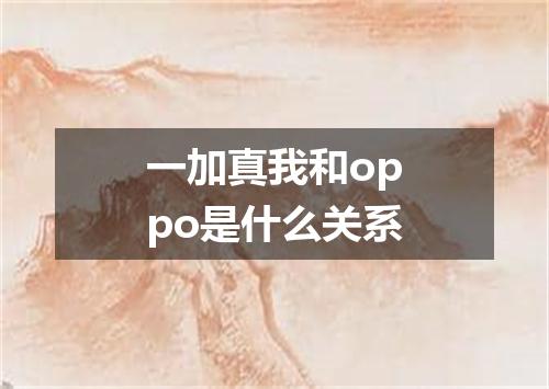 一加真我和oppo是什么关系