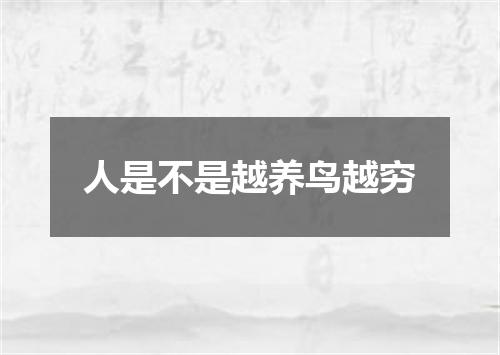 人是不是越养鸟越穷
