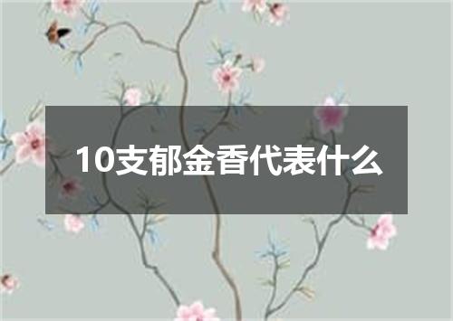 10支郁金香代表什么