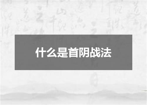 什么是首阴战法