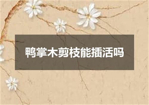 鸭掌木剪枝能插活吗