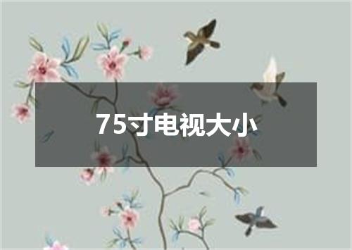 75寸电视大小